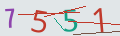 verifycode